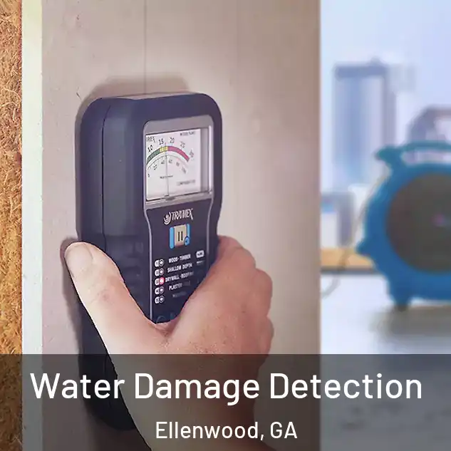  Water Damage Detection Ellenwood, GA