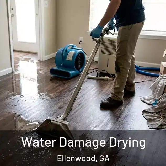  Water Damage Drying Ellenwood, GA