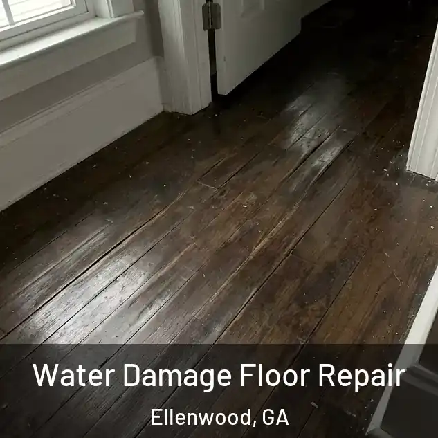  Water Damage Floor Repair Ellenwood, GA