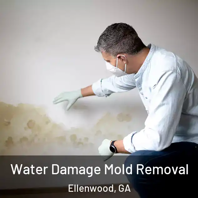  Water Damage Mold Removal Ellenwood, GA