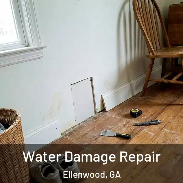  Water Damage Repair Ellenwood, GA