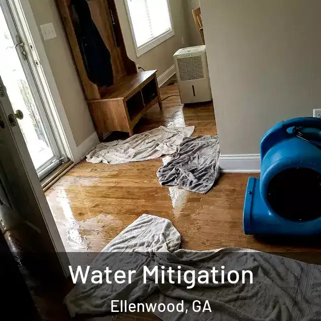  Water Mitigation Ellenwood, GA