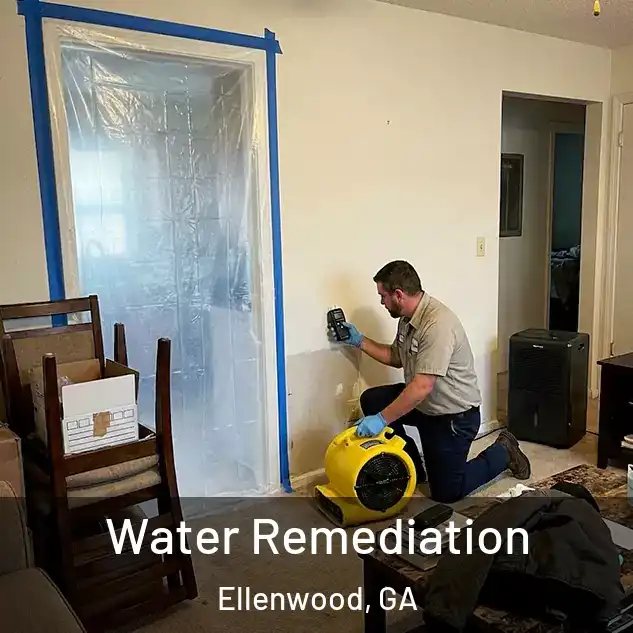 Water Remediation Ellenwood, GA