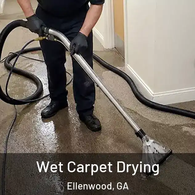  Wet Carpet Drying Ellenwood, GA