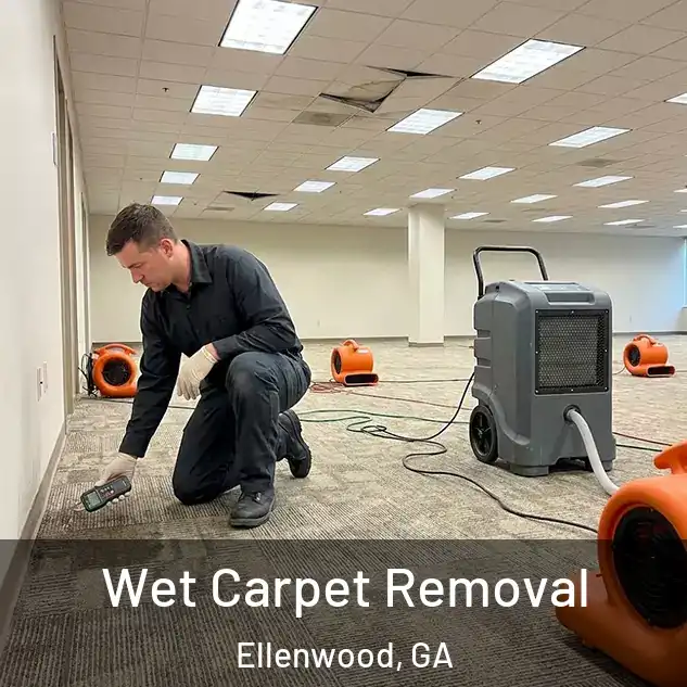  Wet Carpet Removal Ellenwood, GA